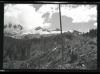 Alpine_699-Thumbnail Image.jpg