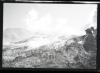 Alpine_701-Thumbnail Image.jpg