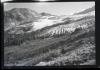 Alpine_702-Thumbnail Image.jpg
