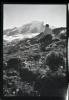 Alpine_703-Thumbnail Image.jpg