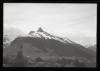 Alpine_706-Thumbnail Image.jpg