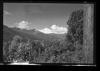 Alpine_715-Thumbnail Image.jpg
