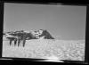 Alpine_716-Thumbnail Image.jpg