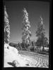 Alpine_722-Thumbnail Image.jpg