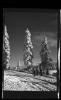 Alpine_734-Thumbnail Image.jpg