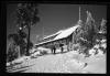 Alpine_735-Thumbnail Image.jpg