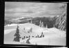 Alpine_736-Thumbnail Image.jpg