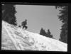 Alpine_746-Thumbnail Image.jpg