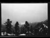 Alpine_758-Thumbnail Image.jpg