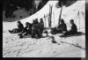 Alpine_768-Thumbnail Image.jpg