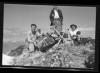 Alpine_775-Thumbnail Image.jpg
