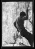 Alpine_787-Thumbnail Image.jpg