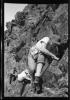 Alpine_791-Thumbnail Image.jpg