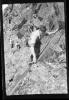 Alpine_792-Thumbnail Image.jpg