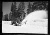Alpine_799-Thumbnail Image.jpg