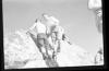 Alpine_801-Thumbnail Image.jpg