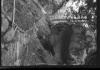 Alpine_802-Thumbnail Image.jpg