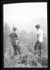 Alpine_805-Thumbnail Image.jpg