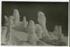 Alpine_816-Thumbnail Image.jpg