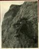 Alpine_818-Thumbnail Image.jpg