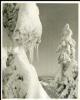 Alpine_819-Thumbnail Image.jpg