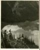 Alpine_820-Thumbnail Image.jpg