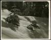 Alpine_822-Thumbnail Image.jpg