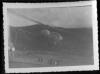 Alpine_826-Thumbnail Image.jpg