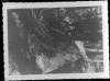 Alpine_829-Thumbnail Image.jpg