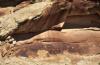 Cal-04735-Thumbnail Image.jpg