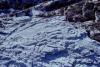 KitselasCanyon_dm_02-Thumbnail Image.jpg
