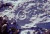 KitselasCanyon_dm_03-Thumbnail Image.jpg