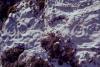 KitselasCanyon_dm_05-Thumbnail Image.jpg