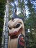 KitselasCanyon_dm_14-Thumbnail Image.jpg