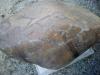 KitselasCanyon_dm_20-Thumbnail Image.jpg