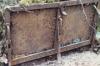 KitselasCanyon_dm_21-Thumbnail Image.jpg