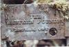 KitselasCanyon_dm_22-Thumbnail Image.jpg