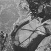 KitselasCanyon_dm_32-Thumbnail Image.jpg