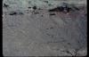 KitselasCanyon_dm_35-Thumbnail Image.jpg