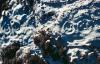 KitselasCanyon_dm_43-Thumbnail Image.jpg