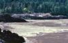 KitselasCanyon_dm_48-Thumbnail Image.jpg