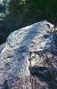 KitselasCanyon_dm_49-Thumbnail Image.jpg