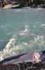 KitselasCanyon_dm_57-Thumbnail Image.jpg