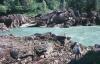 KitselasCanyon_dm_60-Thumbnail Image.jpg