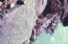 KitselasCanyon_dm_61-Thumbnail Image.jpg
