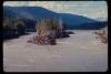 KitselasCanyon_dm_63-Thumbnail Image.jpg
