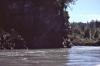 KitselasCanyon_dm_68-Thumbnail Image.jpg