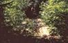 KitselasCanyon_dm_72-Thumbnail Image.jpg