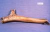 warobjects194-Thumbnail Image.jpg