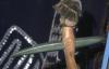 warobjects228-Thumbnail Image.jpg